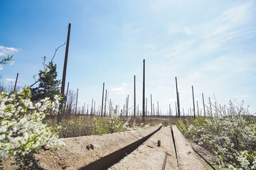 Fototapeta premium Vertical construction of the astronomical radio telescope observatory on the territory of the Institute of the ionosphere in the Kharkiv region, on a spring sunny day