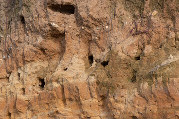 Texture of a cliff