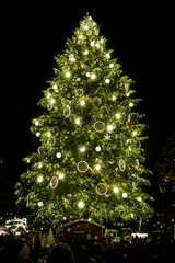 Christmas tree in Strasbourg; France