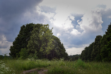 Obraz premium country landscape, field, trees, sky with heavy clouds, summer day