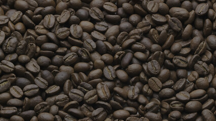 Coffee beans background. The Coffee beans, Coffee seeds. The Coffee.