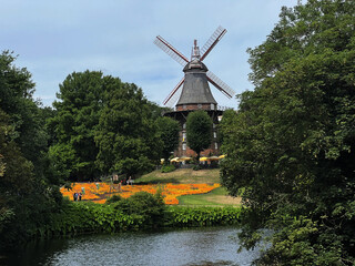 Old Mill In Amsterdam Summer