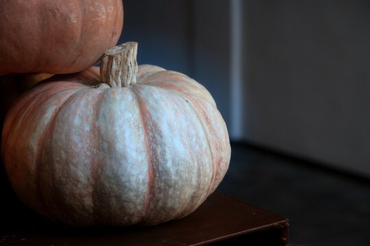 Image of a fresh and vibrant pumpkin. Celebrate the fall season.