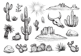 Desert set vector sketches. Hand drawn black and white line cactus, rocks, skull, and elements of the landscape.