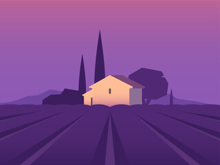 Lavender field, minimalist landscape in purple shades - 575704052