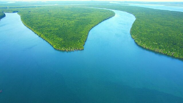 Discover the breathtaking beauty of Thailand's mangrove forest and meandering river from above with our 4K drone footage. natural green background. nature and ecosystem concept. Birds eye view
