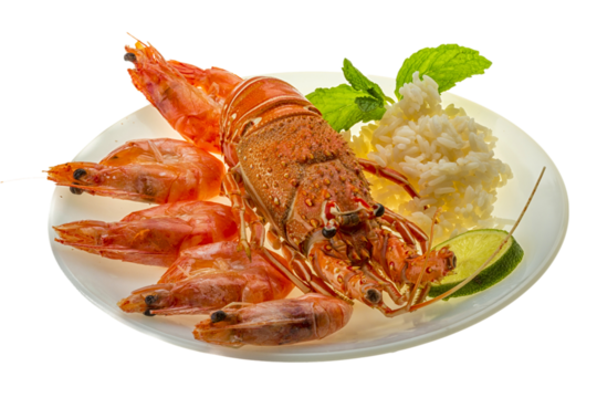 Spiny lobster, shrimps and rice