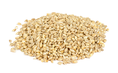 Pearl barley heap isolated on white