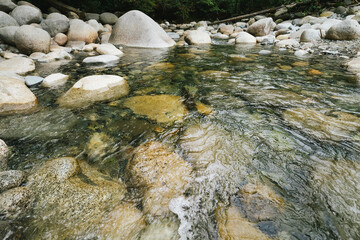 Lynn Canyon Park in West Vancouver, British Columbia, Canada - stones in the water