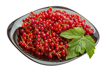 Red currant