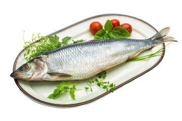 Marinated herring with herbs