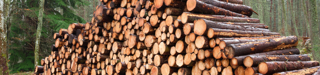 Chopped wood logs for sale with small snow covering during the winter