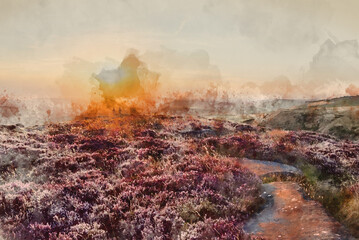 Digital watercolour painting of Absolutely beautiful sunset landscape in late Summer with heather in full purple bloom