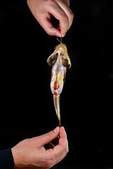 Salted dried goby fish. Fish appetizer for beer