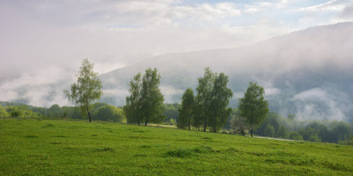 rural landscape with forested hills. grassy fields and meadows. trees on the hill. mysterious foggy morning