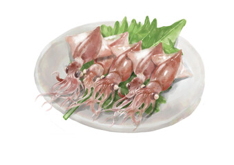 水彩のホタルイカ01_4