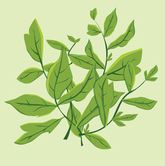 set of green leaves flat illustrations