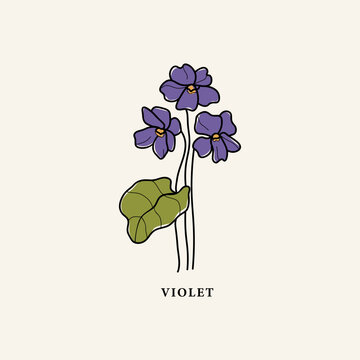 Line art violet flower drawing