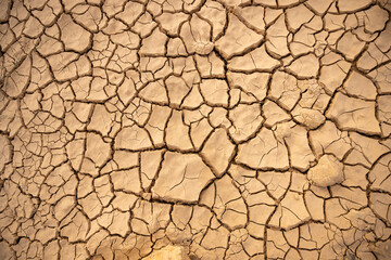 Cracked earth natural textured background.