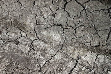 Dry cracked soil texture and background of ground