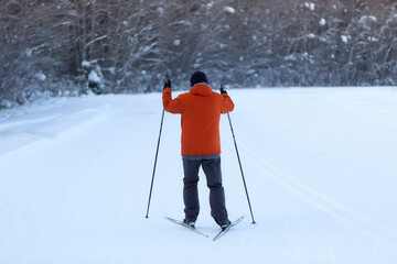 Fototapeta na wymiar A man goes cross-country skiing in winter through the forest on a special track.