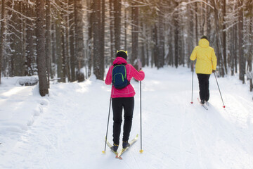 Fototapeta na wymiar A woman goes cross-country skiing in winter through the forest on a special track.