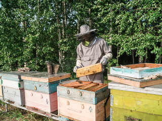 Beekeeper male working collect honey. Beekeeping concept.