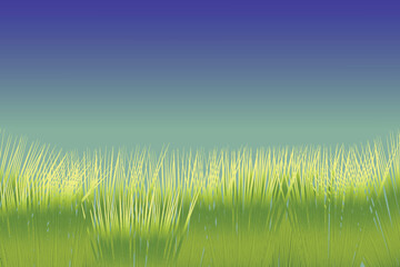 Fototapeta na wymiar Green grass border realistic design