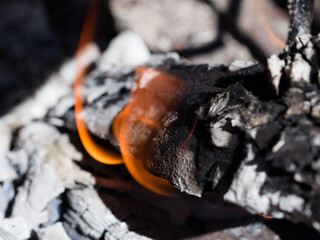 Fire burning wood in a barbecue