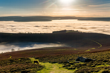 Farmland and rolling hills rising above a thick layer of fog in a rural area (Brecon Beacons)