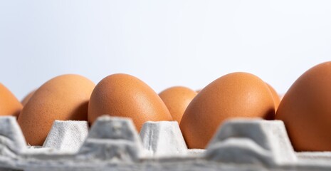 Fresh eggs in the egg stall. Egg tray or Egg panel