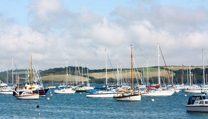Obraz premium Sail boats, leisure boats and yachts moored in the Camel Estuary, Cornwall on a bright and sunny day