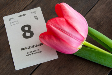 Dzień kobiet. Kartka z kalendarza. Tulipan z okazji Dnia Kobiet. 8 marca. - obrazy, fototapety, plakaty