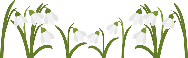 Snowdrops, spring flowers. Light spring background.