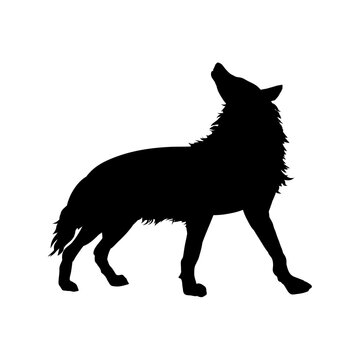 silhouette of wolf black and white