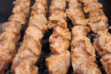 Delicious juicy shish kebab. pork on fire. food on fire. barbecue in the yard. Georgian kebab. meat hot tasty dish. fried meat, juicy pork. cooking on a campfire. Georgian cuisine. meat on a skewer