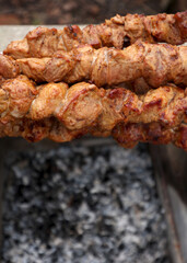 Delicious juicy shish kebab. pork on fire. food on fire. barbecue in the yard. Georgian kebab. meat hot tasty dish. fried meat, juicy pork. cooking on a campfire. Georgian cuisine. meat on a skewer
