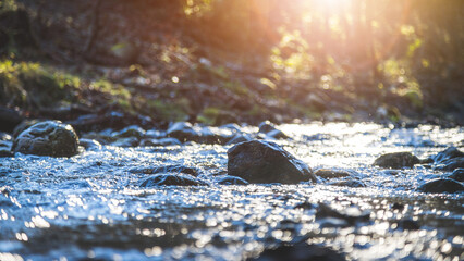 River and wood landscape. Smooth river and stones, sunshine. Concept for palliative and goodbye.