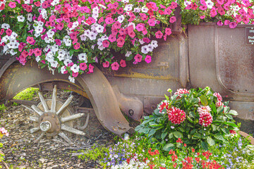 Flowers Decorate a rusted old vehicle at Chena Hot Springs, Alaska
