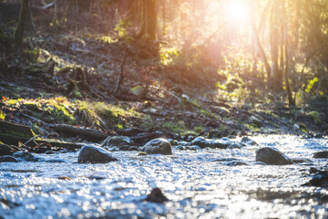 River and wood landscape. Smooth river and stones, sunshine. Concept for palliative and goodbye. - 575731097