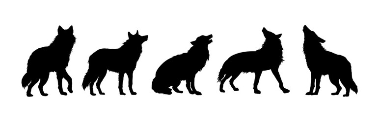 Set of wolf silhouettes. Wolf silhouette isolated. - obrazy, fototapety, plakaty