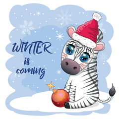 Greeting card with cute zebra in santa hat with christmas ball, candy kane, gift. Wildlife holidays cartoon character.