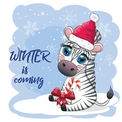 Greeting card with cute zebra in santa hat with christmas ball, candy kane, gift. Wildlife holidays cartoon character.