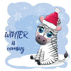 Greeting card with cute zebra in santa hat with christmas ball, candy kane, gift. Wildlife holidays cartoon character.