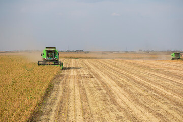 Obraz premium Harvesting soybean fields in autumn