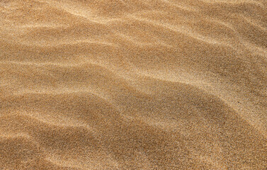 Fototapeta na wymiar Background with beach sand wave close-up. Sand dunes on a sunny summer day. Free space for text