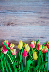 
Beautiful spring flowers tulips on wooden background