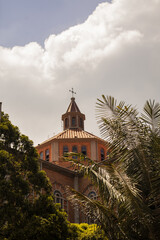 Fototapeta na wymiar Iglesia y árboles 
