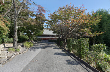 天寧寺　参道と羅漢堂　滋賀県彦根市