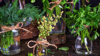 Jars with bunches of green fresh organic garden herbs stand on the table against a dark background,...